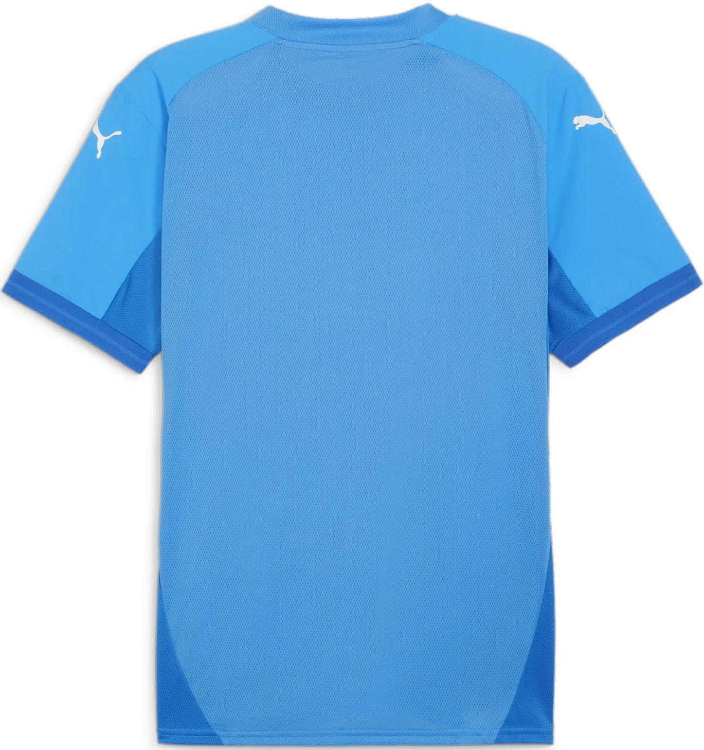 Puma TeamFinal Jersey
